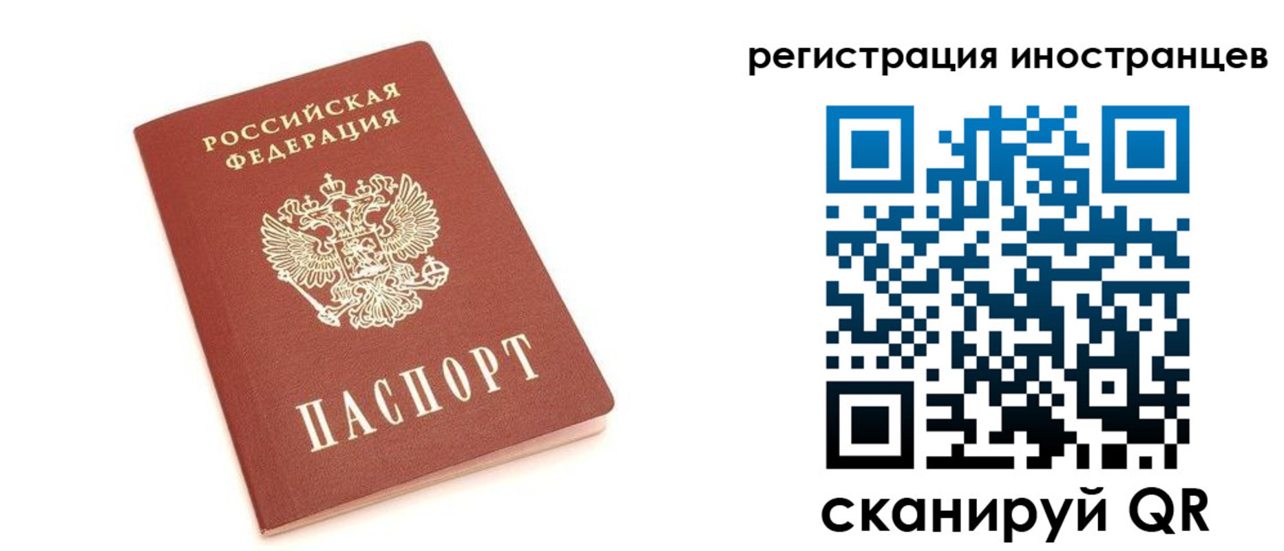 прописка поиск в Владимире